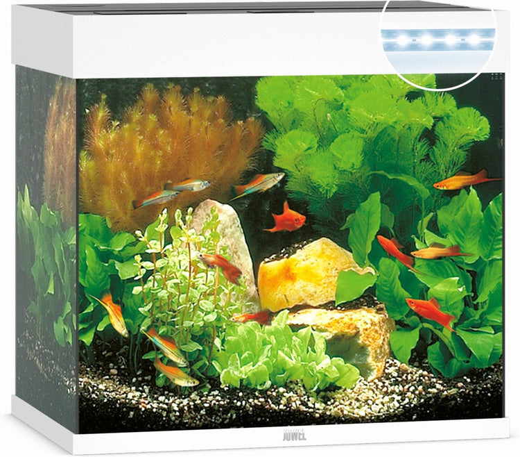 Aquarium Juwel lido 120 led - blanc - 120l - 61 x 41 x 58 cm