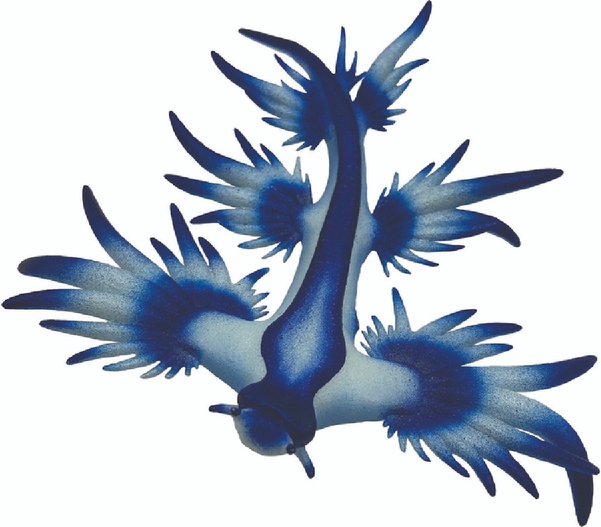 Escargot de mer bleu Bullyland_x000d_ (67511)