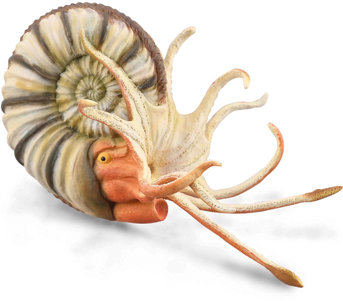 Figurine Collecta - ammonite pleuroceras - (xl) - préhistoire - peinte à la main - miniature
