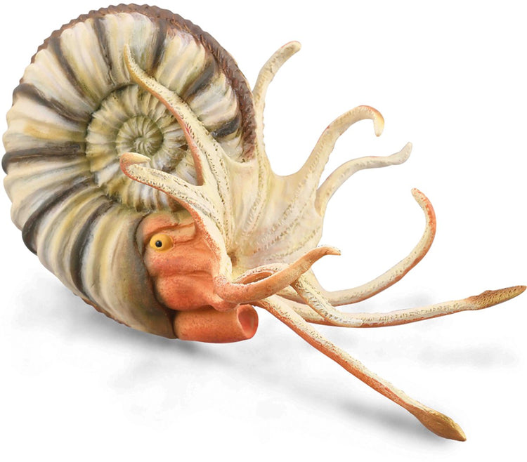 Figurine Collecta - ammonite pleuroceras - (xl) - préhistoire - peinte à la main - miniature