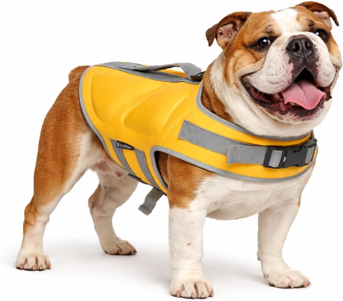 Gilet de sauvetage Flamingo pour chien – taille L (36,5 cm) – jaune swimmy – maintien optimal – réglable – nage en toute sécurité