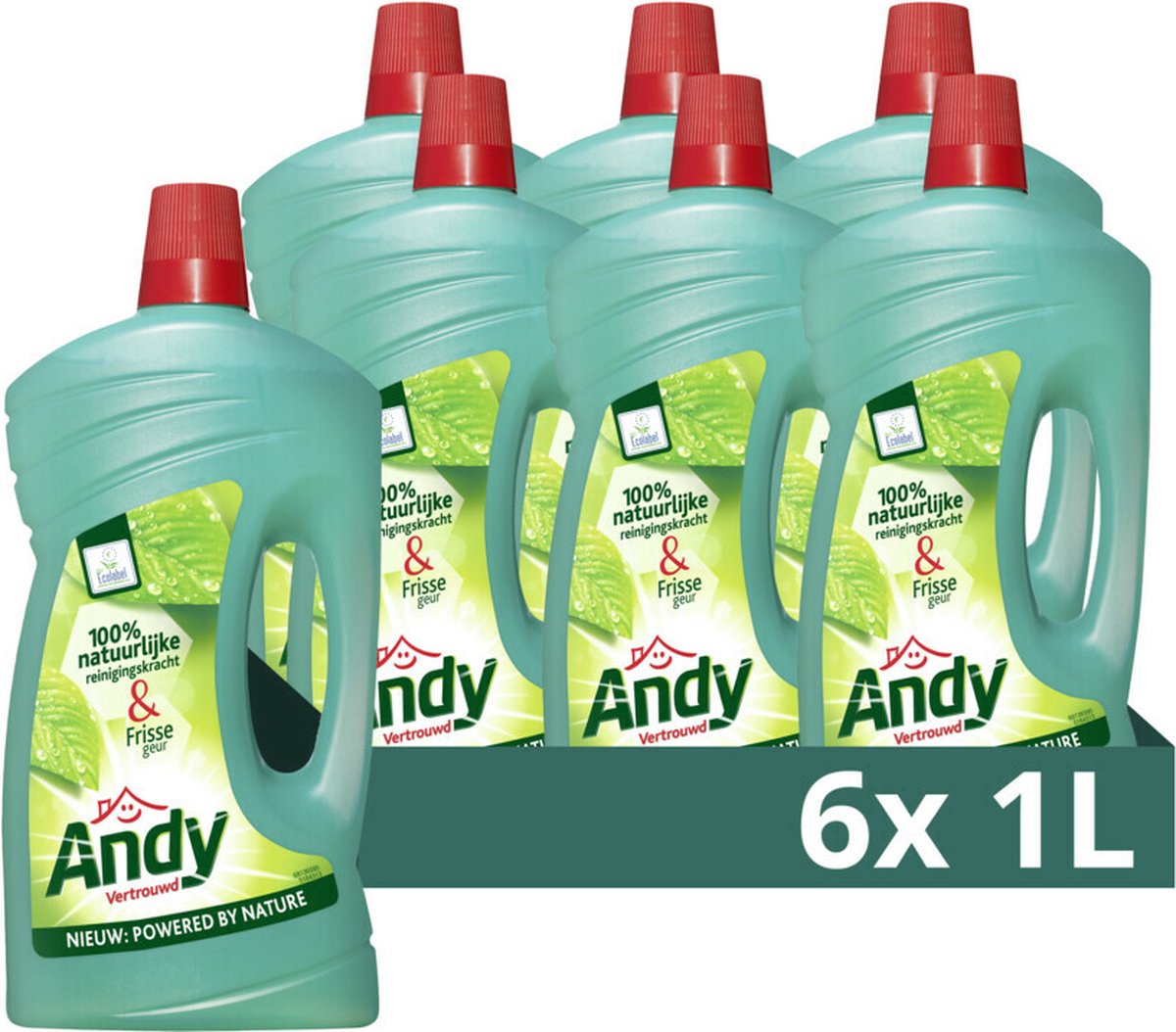Nettoyant tout usage Andy - familier - 6 bouteilles x 1 l - pack économique