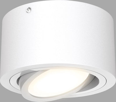 Briloner tube - Spot LED en saillie - Spot de plafond - Spot de plafond inclinable - Lumière blanc chaud 3 000 K - 5w - ø 9cm - blanc