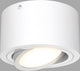 Briloner tube - Spot LED en saillie - Spot de plafond - Spot de plafond inclinable - Lumière blanc chaud 3 000 K - 5w - ø 9cm - blanc