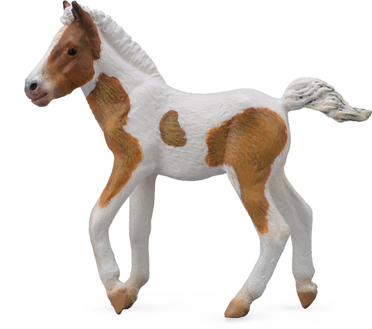 Figurine Collecta - poulain de Dartmoor Hill - (m) - chevaux - peint à la main - miniature