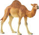 Schleich Wild Life Dromedaris 14832