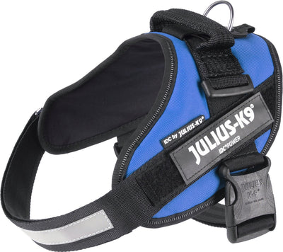 Julius k9 julius-k9 harnais de puissance idc - m - taille 0 - bleu