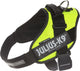 Julius k9 julius-k9 idc power harnais - harnais pour chien - xl - taille 2 - néon