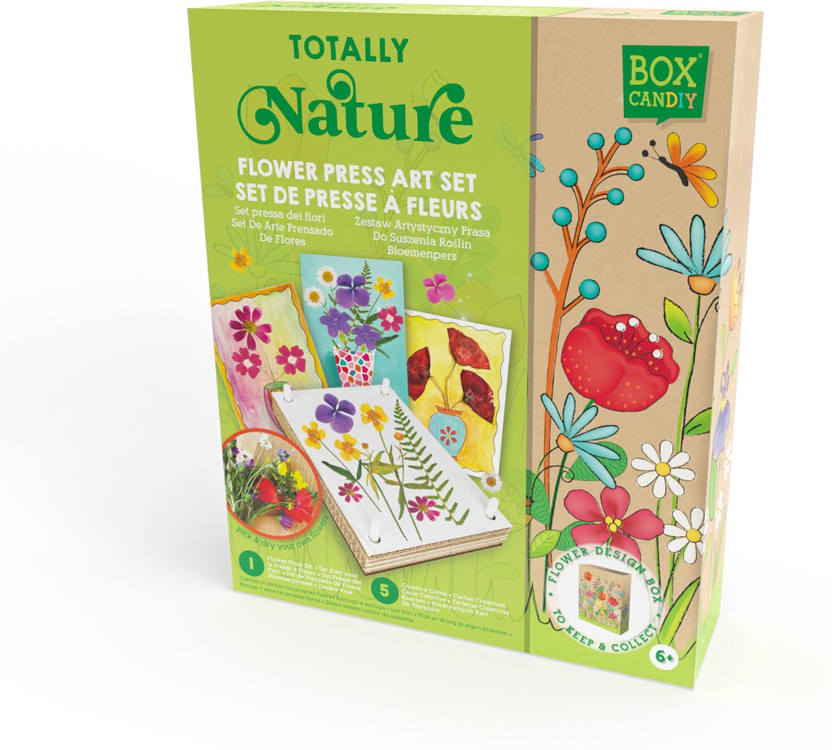 Boîte à bonbons presse à fleurs jouets éducatifs en plastique multicolore.