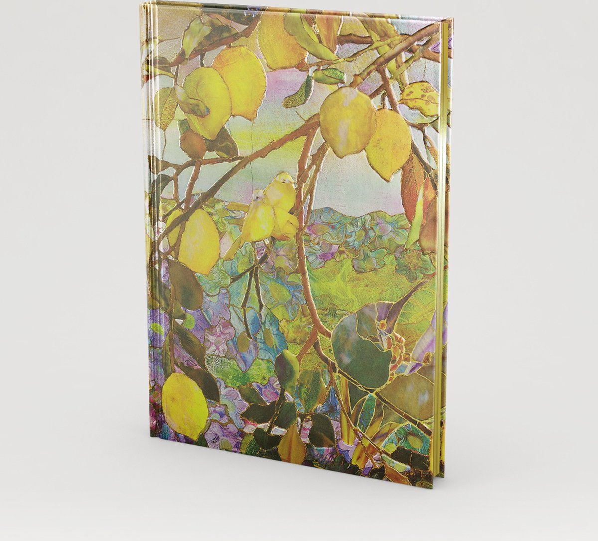 Peter Pauper - journal relié - citronnier tiffan - 16x21 cm