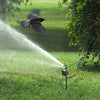 Splash Splash Water Sprayer Ladybug
