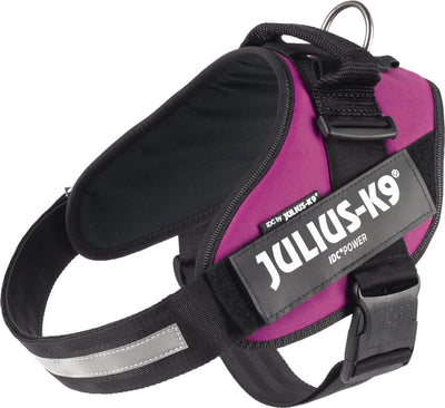 Julius k9 julius-k9 idc®power harnais, xl - taille 2, rose foncé