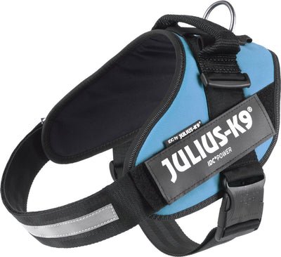 Julius k9 julius-k9 idc®power harnais, xl - taille 2, bleu azur