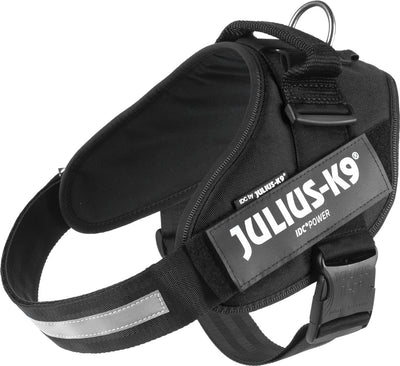 Jules k9