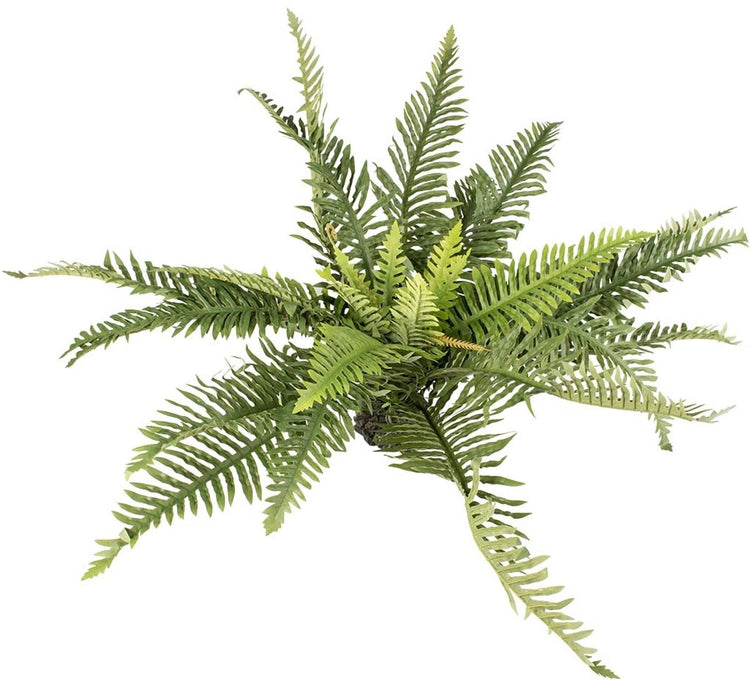 Terra della aqua d'ella plante artificielle fougère verte