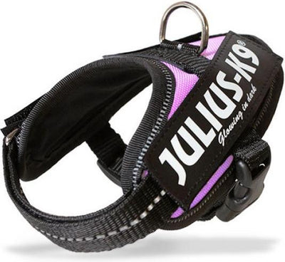 Julius K9 harnais d'alimentation IDC de renommée mondiale pour étiquettes de texte rose taille : baby1