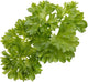 Recharge Emsa click and grow - persil
