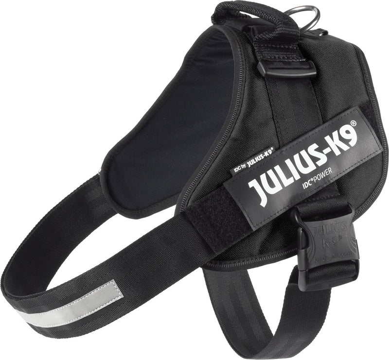 Jules k9
