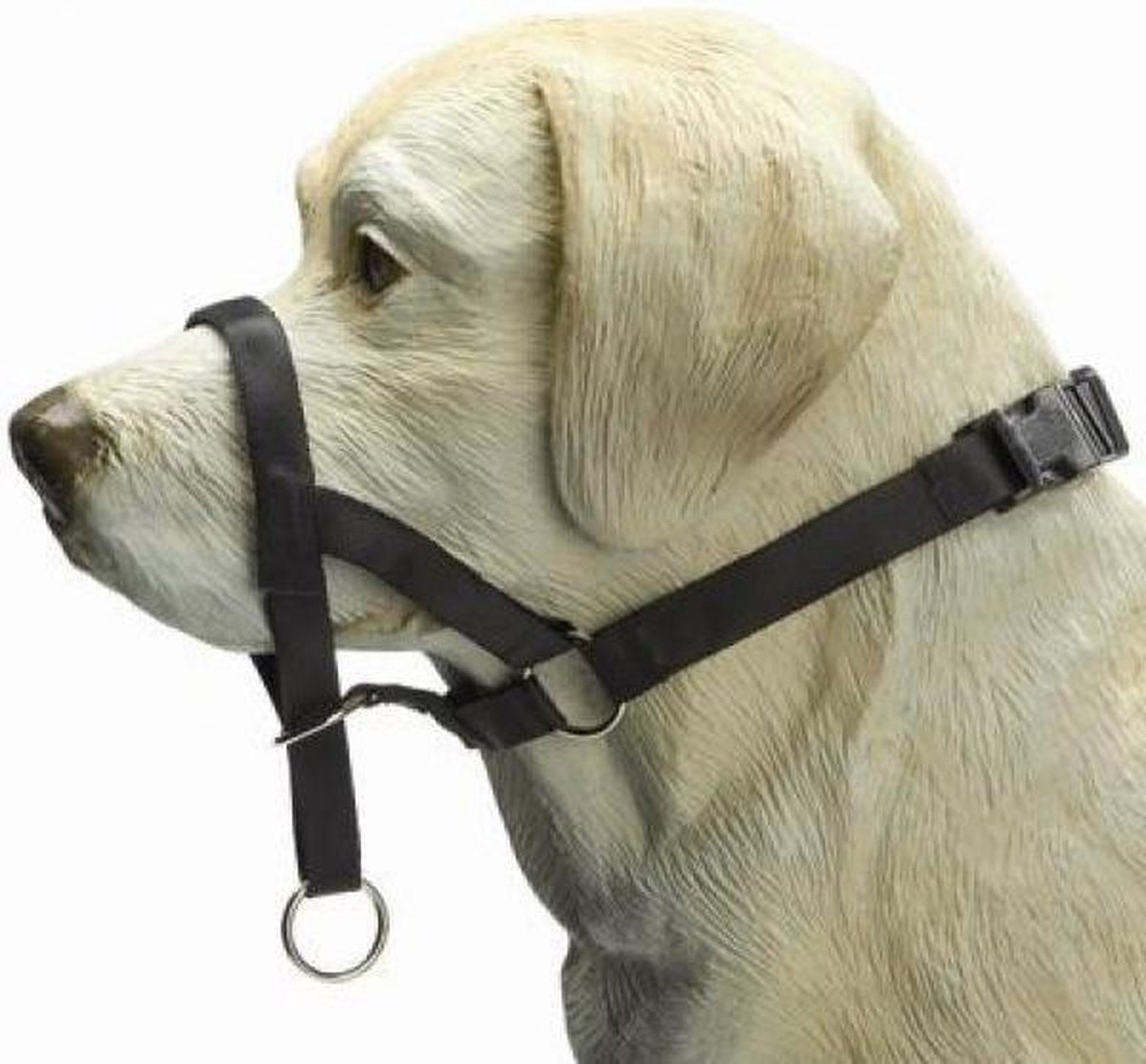 Beeztees dog control - collier pour chien - noir - xl