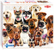 Tactique Group de puzzle ou chiens mignons, 100e.