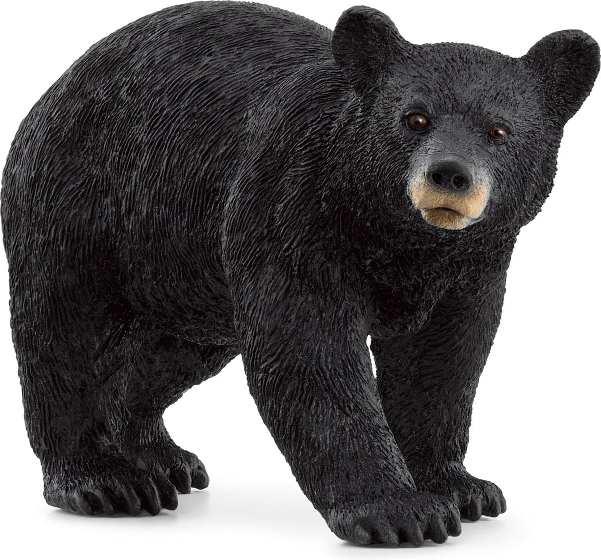 Schleich sauvage Life American Black Bear 14869
