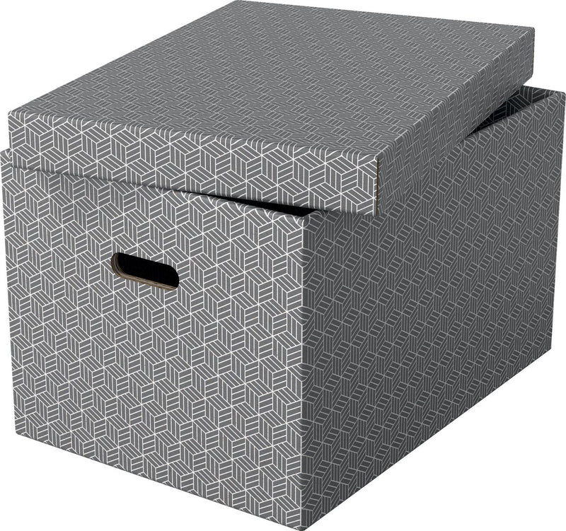 Boîte de rangement Esselte 628287 grande 55 l gris
