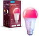 Bulbe LED Govee H6004