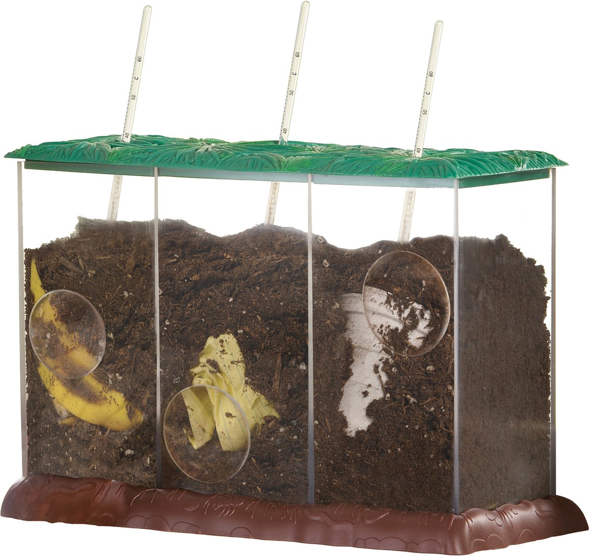 Ressources d'apprentissage bac à compost jouets éducatifs biologie transparente. - 3+
