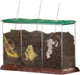 Ressources d'apprentissage bac à compost jouets éducatifs biologie transparente. - 3+