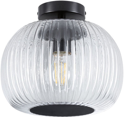 Paulmann plafonnier LED Ruya IP44 E27 230V max. Verre dimmable 60W, noir mat