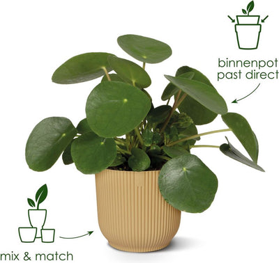 Elho vibesfold round 18 - pot de fleur d'intérieur - 100% plastique recyclé - ø 18,4 x h 16,8 cm - rose délicat