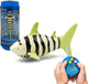 Gear2play - mini requin en boîte - Requin nageur RC avec télécommande
