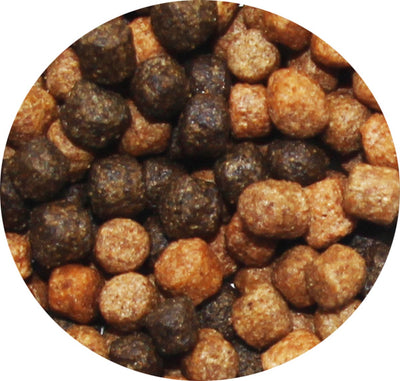 Ubbink Ubbink Fish Food Heiko Koi Color Menu 6 mm 3 L