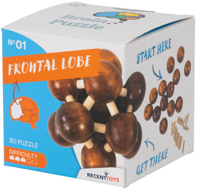 Jouets récents casse-tête en bois puzzle lobe frontal - casse-tête.