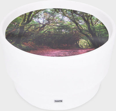 Tapis de jeu découverte de la forêt Tickit ®