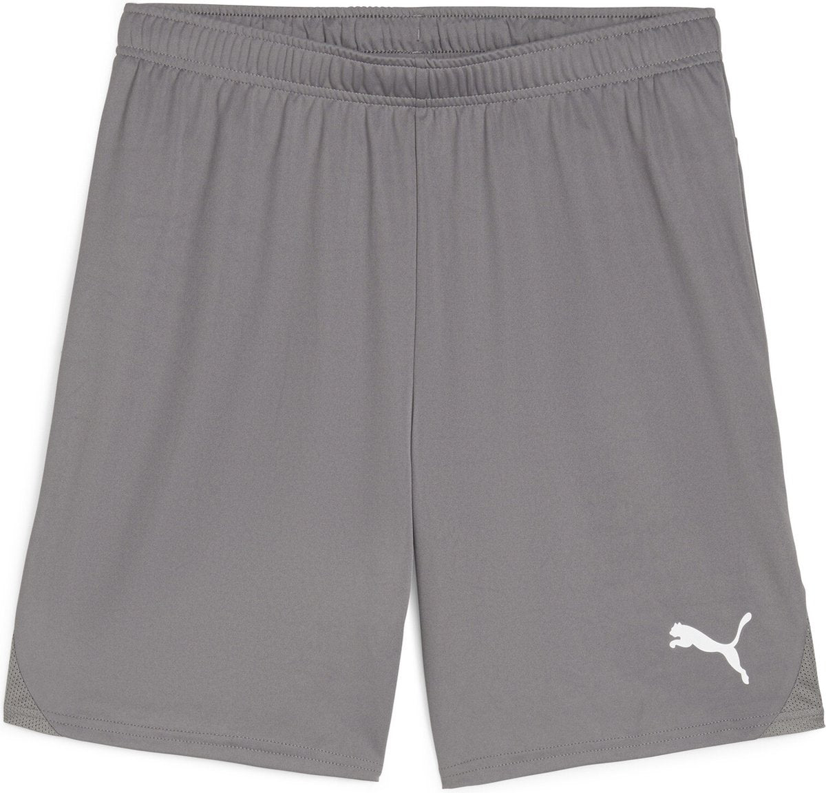 Puma teamgoal shorts pantalon de sport pour hommes - fonte - blanc