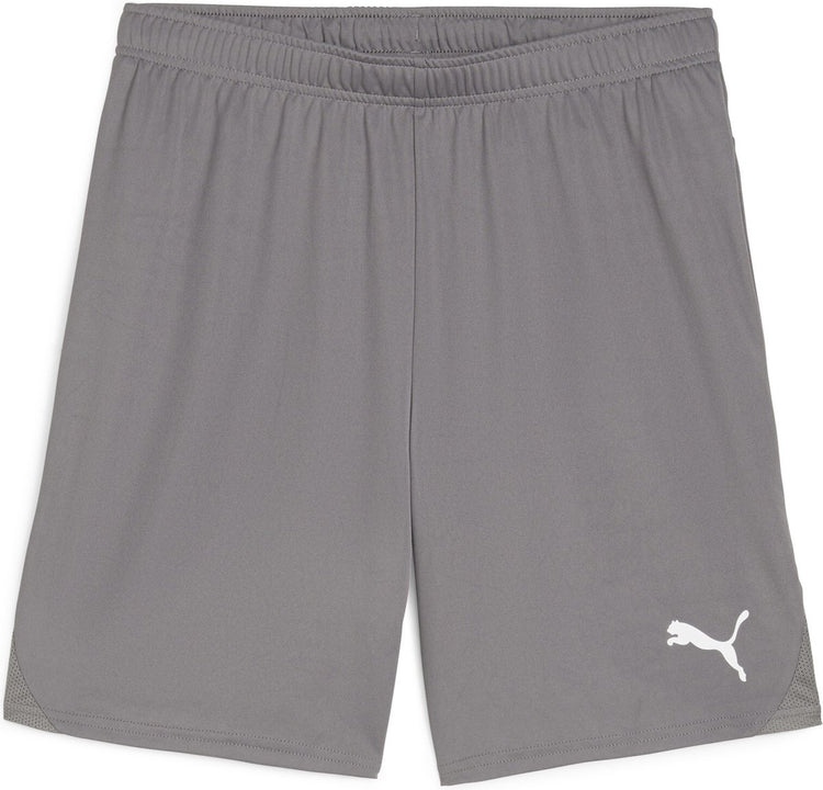 Puma teamgoal shorts pantalon de sport pour hommes - fonte - blanc