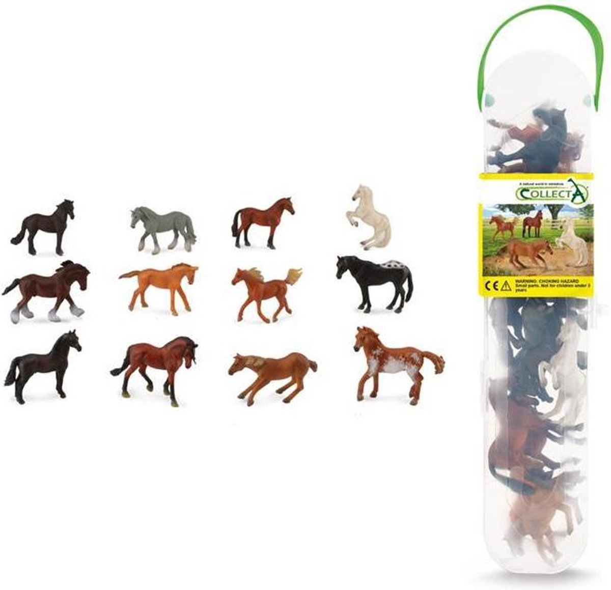 Collecta