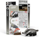 Puzzle 3D Eugy - blaireau - animaux sauvages - durable - collectionnez-les tous - 6 ans