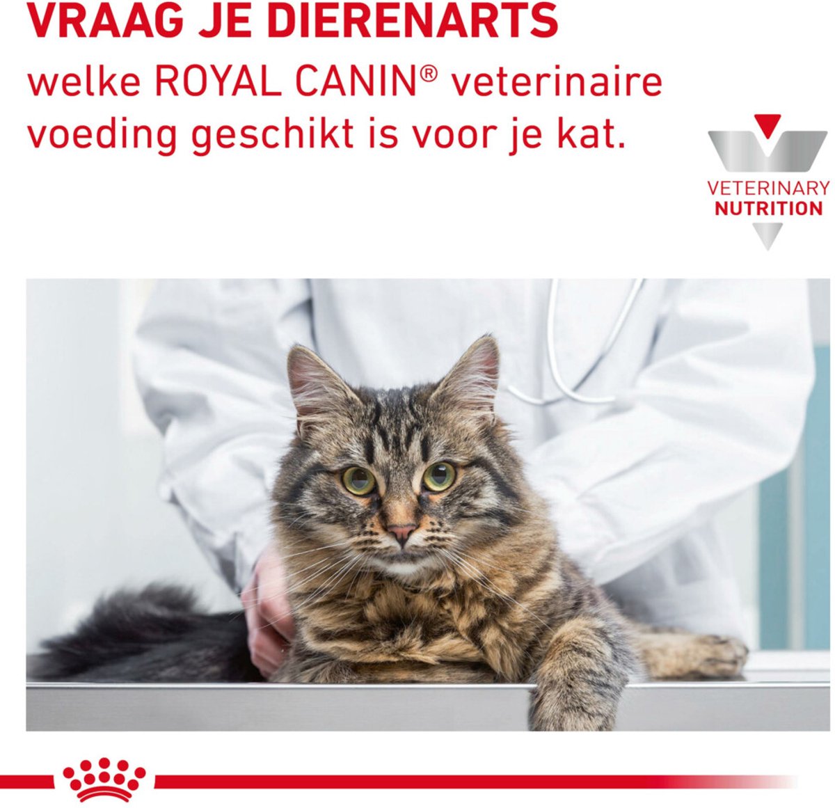 Régime vétérinaire Royal Canin