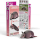 Puzzle 3D Eugy - tatou - animaux sauvages - durable - collectionnez-les tous - 6 ans