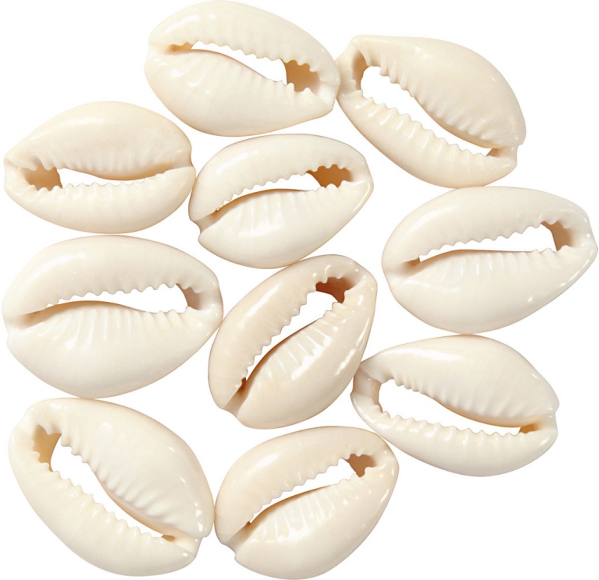 Creativ Company Shells White, 12e.