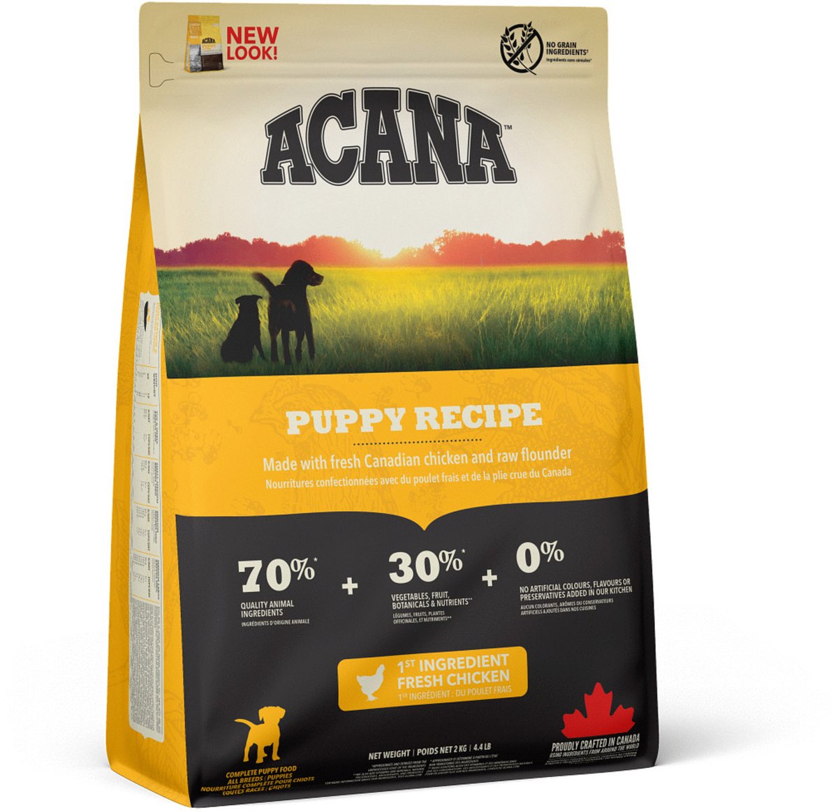 Chiot de chien acana