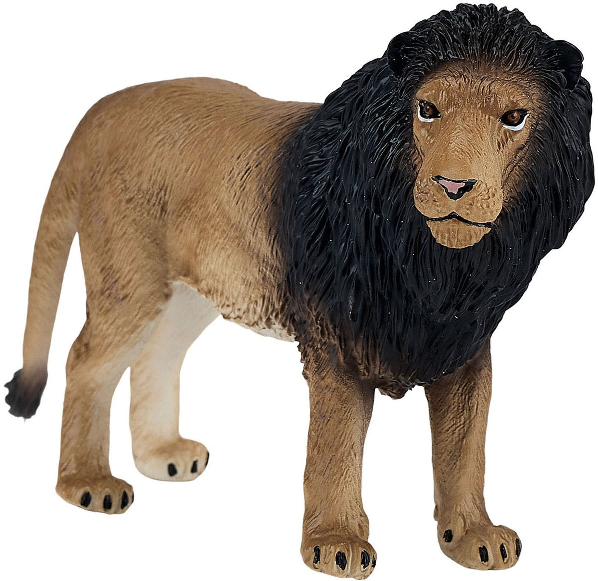 Mojo faune lion africain 381070
