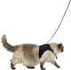 Harnais souple pour chat Trixie - noir - 1,2 m