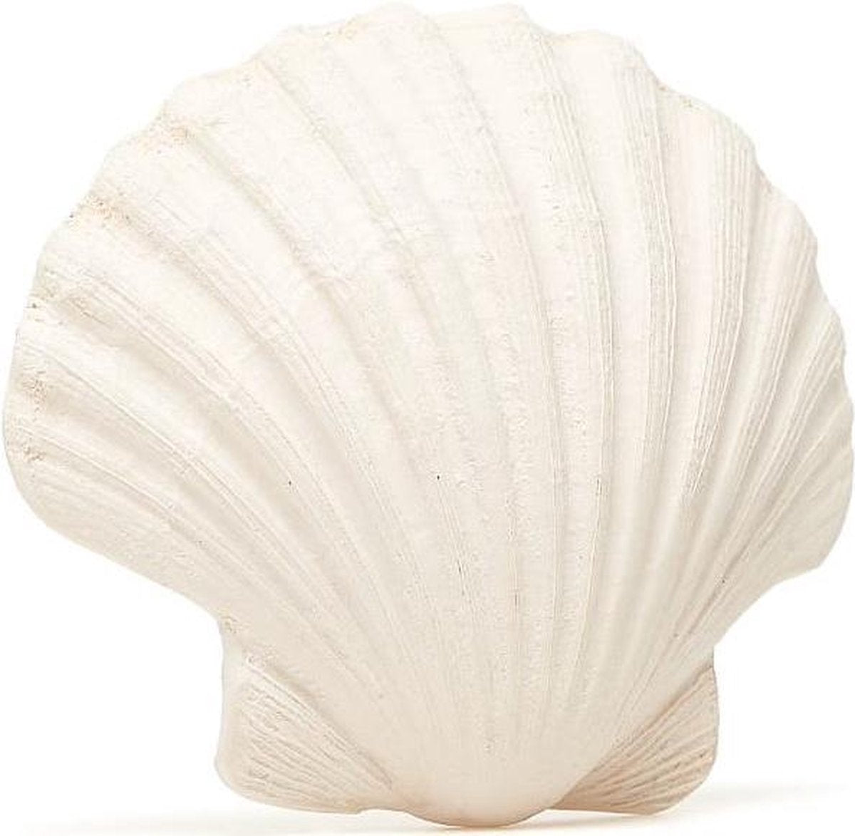 Lanco Toys Lanco Jouet de Dentition en Caoutchouc - Coquille - Plat - Blanc