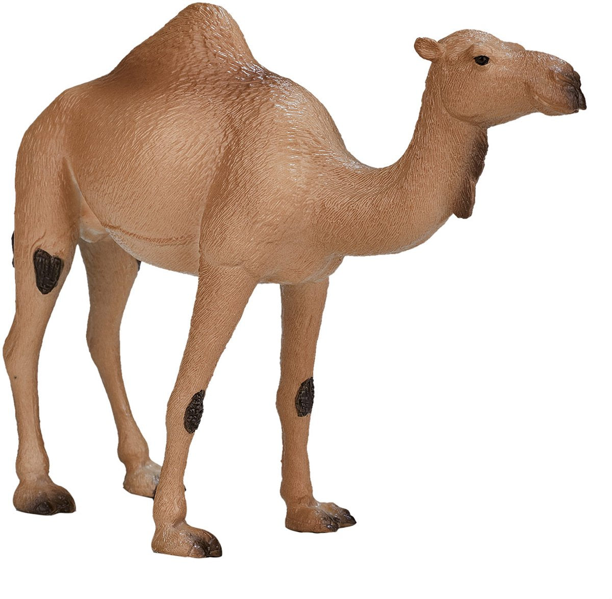 Mojo Wildlife Arab Camel 387113