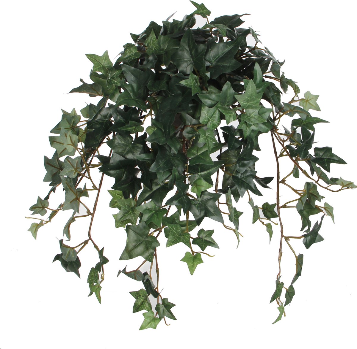 8712293766724