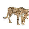Femme de guépard faunique mojo avec Cub 387167