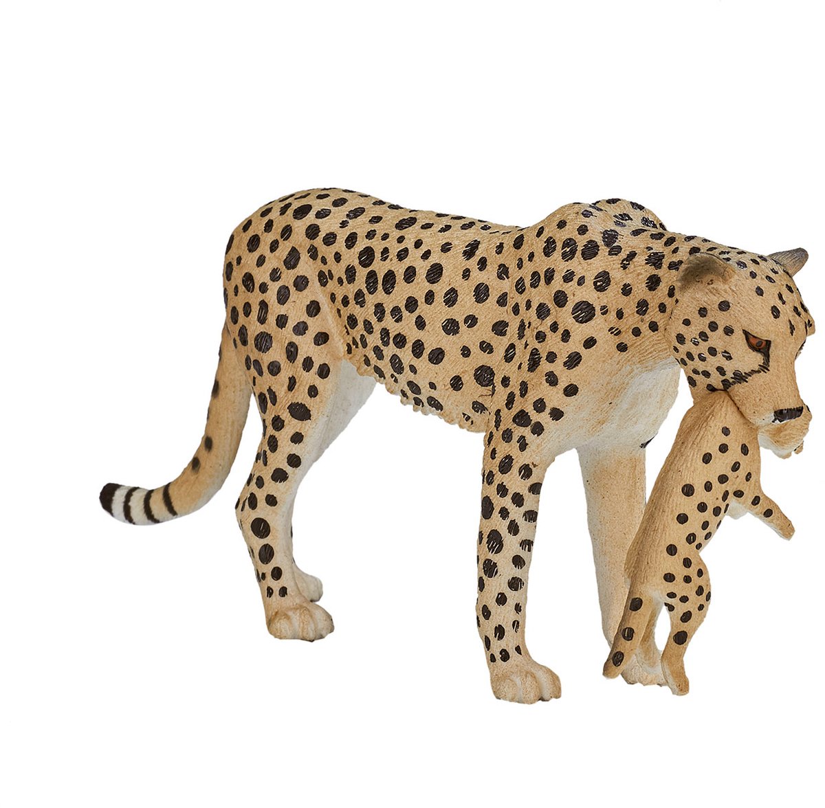 Femme de guépard faunique mojo avec Cub 387167